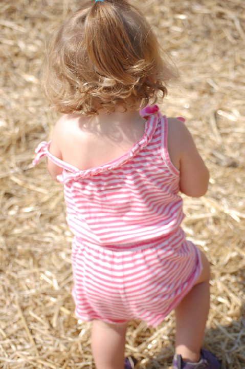 SUMMER (1042)